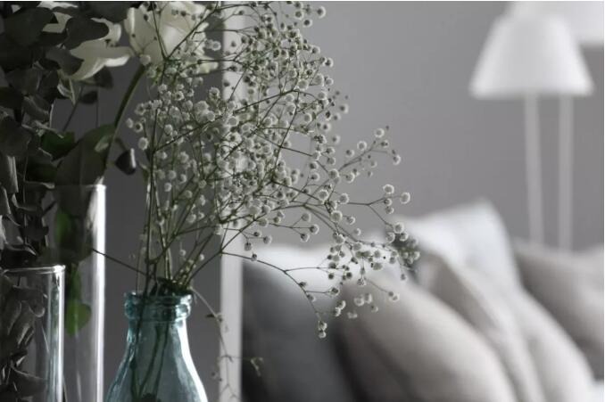 公众号5.jpg 公众号5.jpg